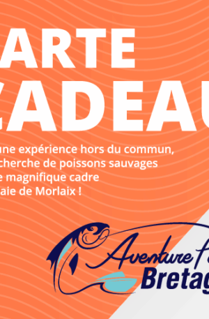 Toutes les Cartes cadeau